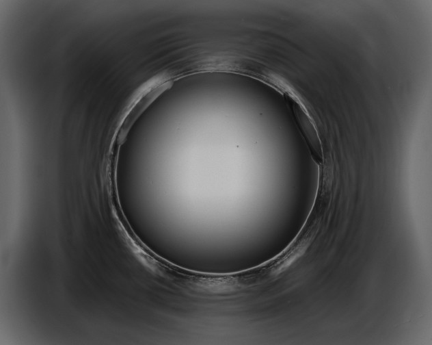 X0000086961434200705071327