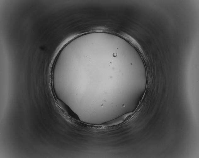 X0000086961435200705071327