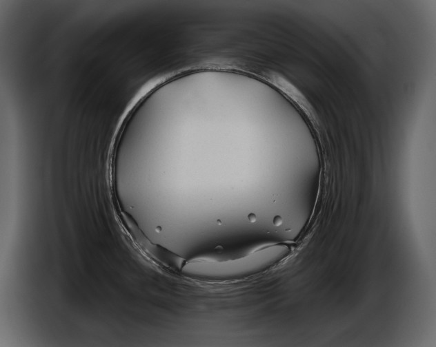 X0000086961436200705071327