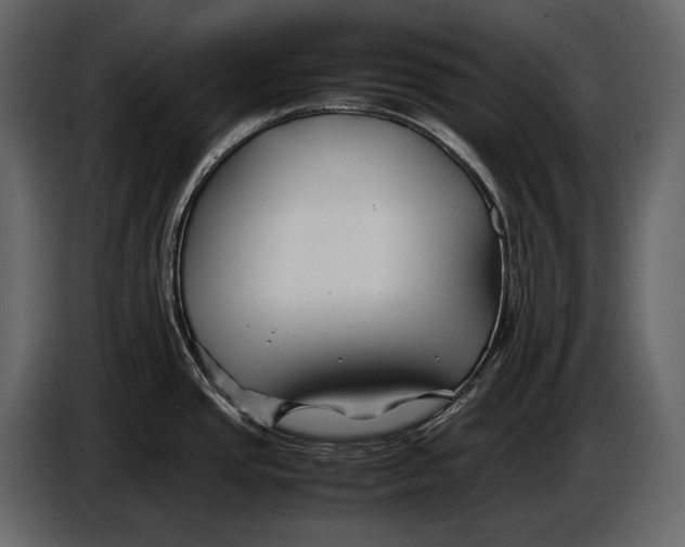 X0000086961437200705071327
