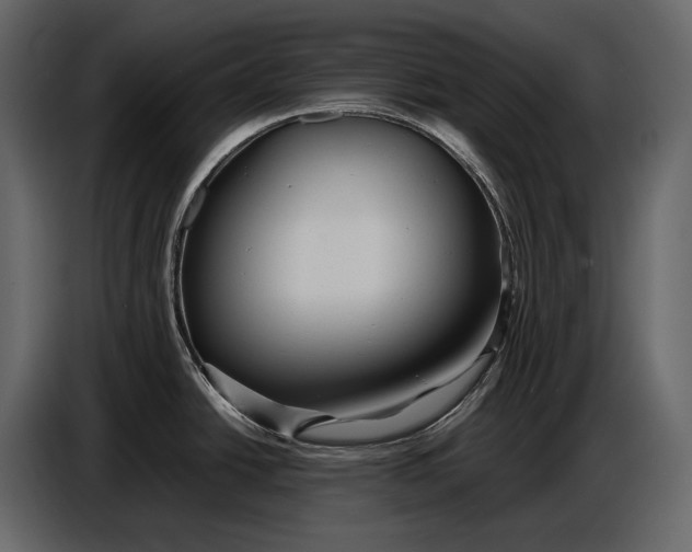 X0000086961438200705071327