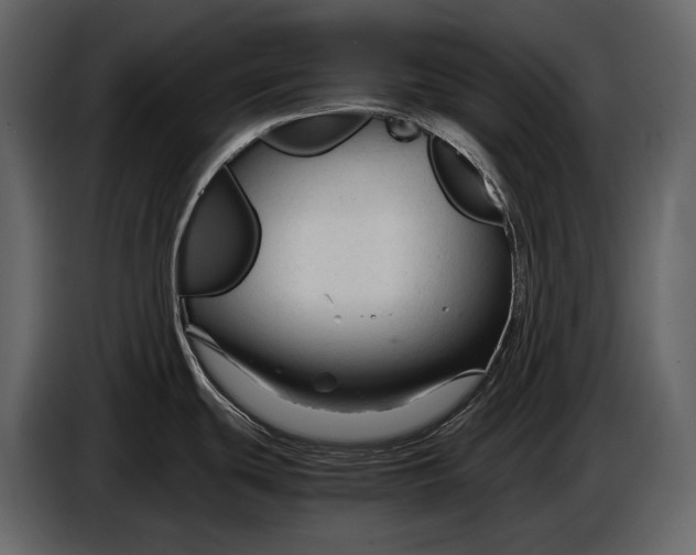 X0000086961439200705071327