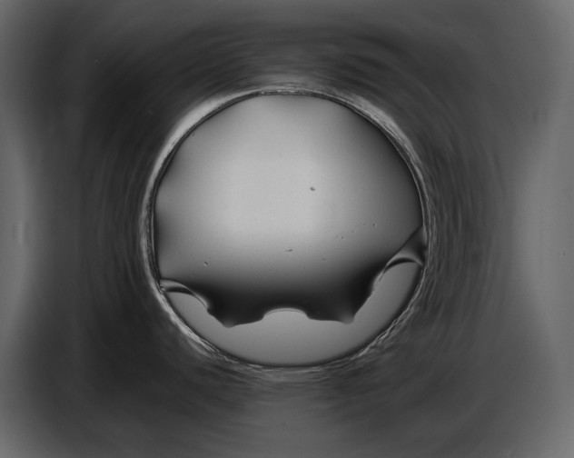 X0000086961440200705071327