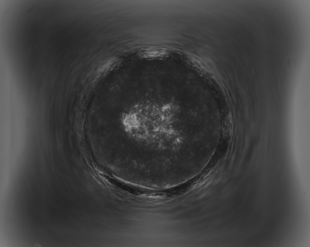 X0000086961441200705071326