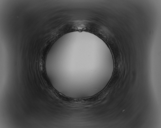 X0000086961442200705071326