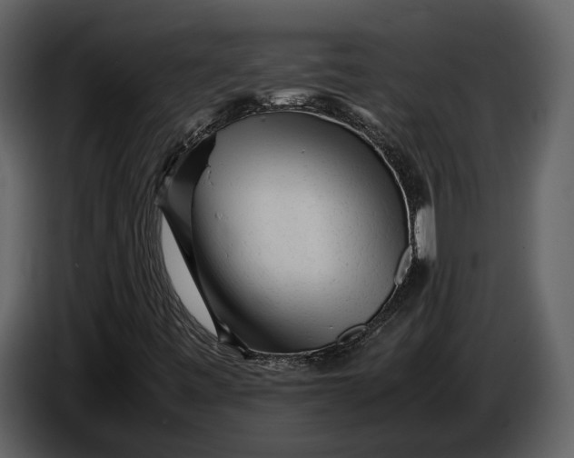 X0000086961443200705071326