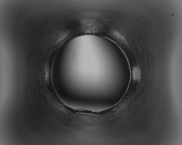 X0000086961444200705071326