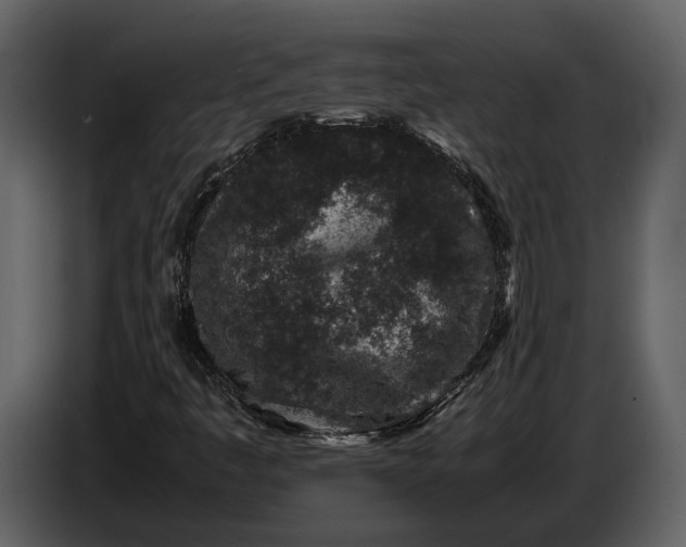 X0000086961445200705071326