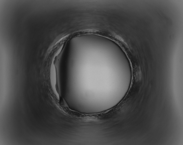 X0000086961448200705071326