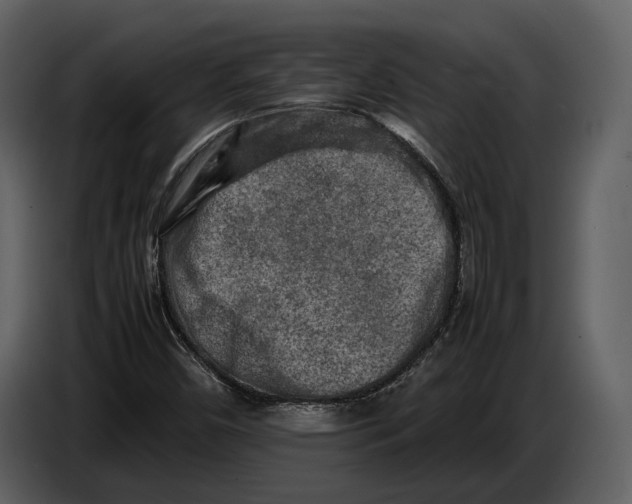X0000086961450200705071326