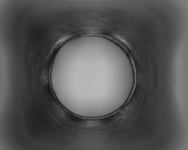X0000086961451200705071326