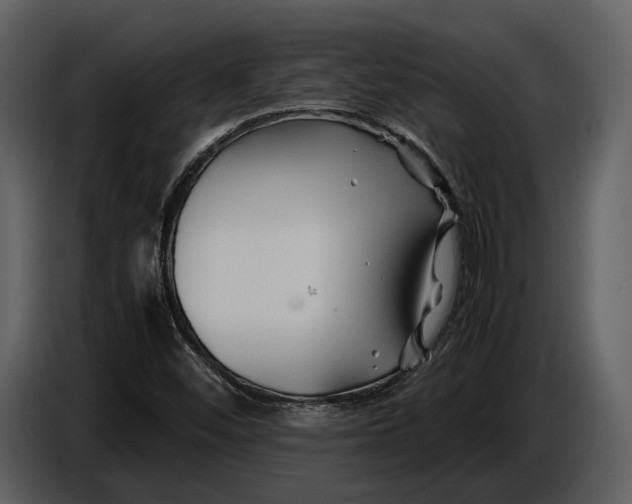 X0000086961452200705071326