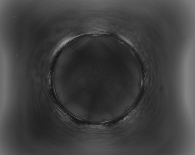 X0000086961455200705071326
