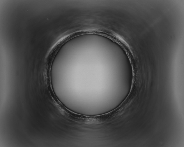 X0000086961456200705071326