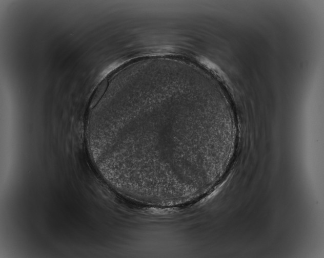 X0000086961457200705071326