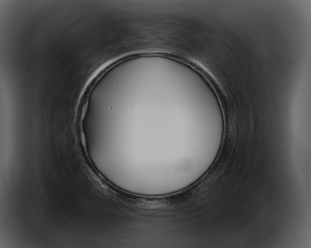 X0000086961460200705071326