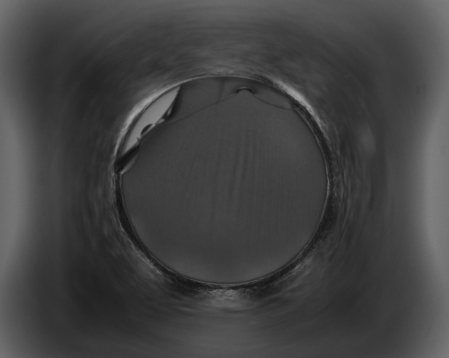 X0000086961463200705071326