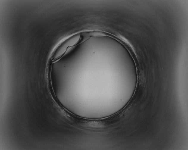 X0000086961464200705071326