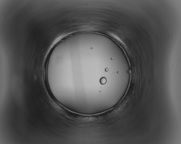 X0000086961467200705071326