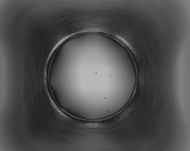 X0000086961468200705071326