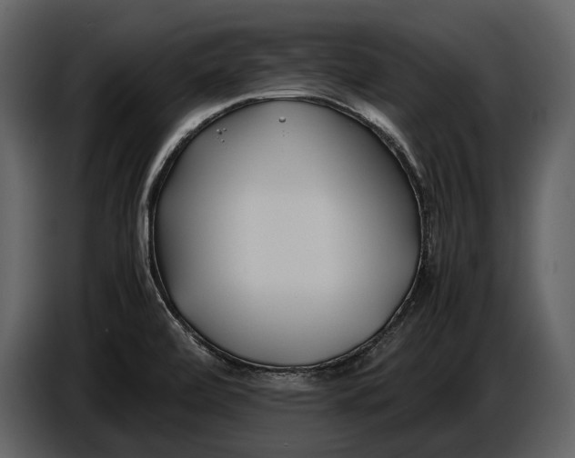 X0000086961472200705071326