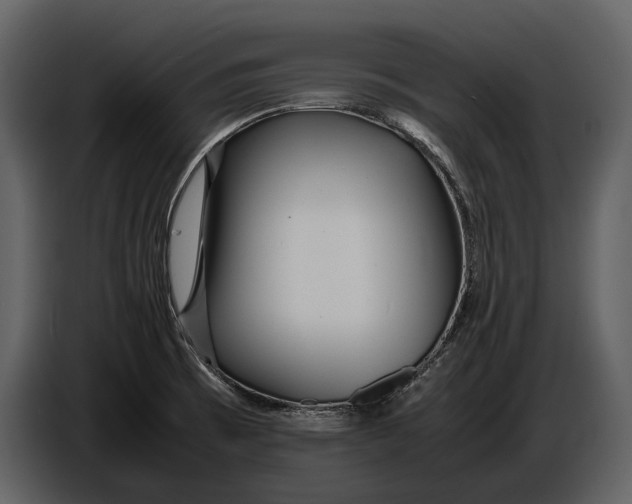 X0000086961473200705071326