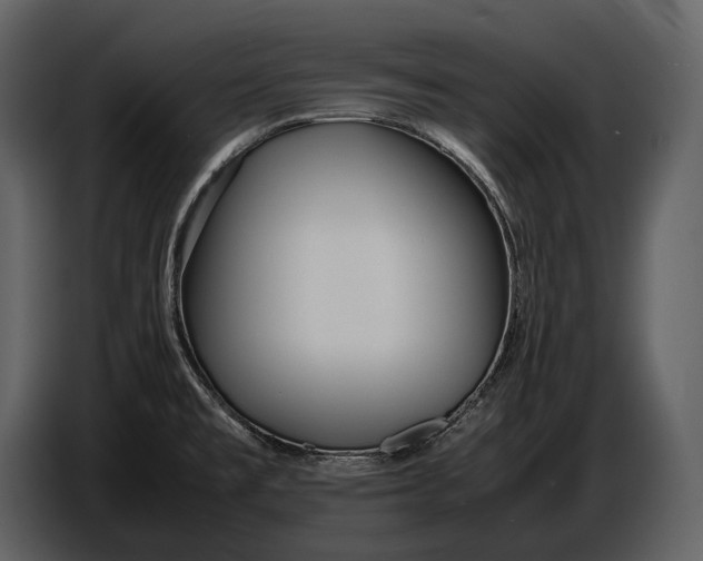 X0000086961477200705071326