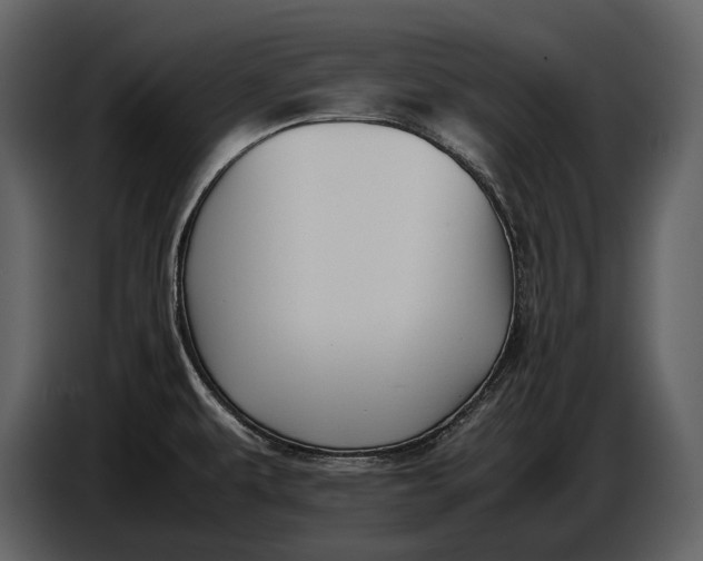 X0000086961479200705071326