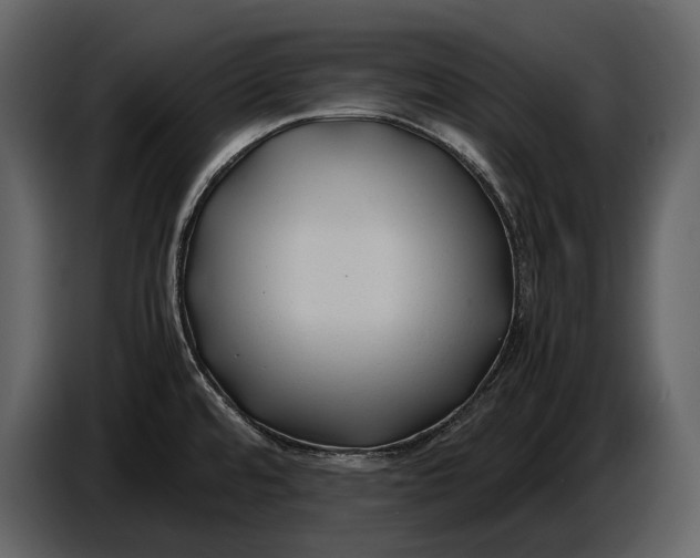 X0000086961480200705071326