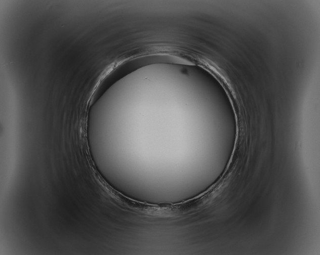 X0000086961481200705071326