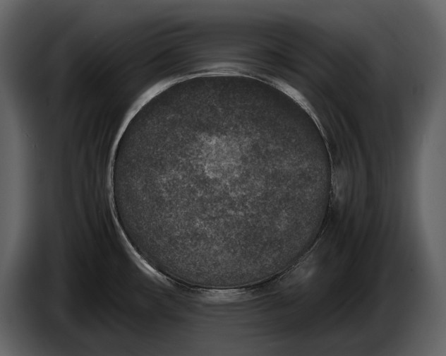 X0000086961482200705071326