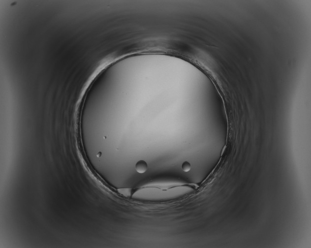 X0000086961483200705071326