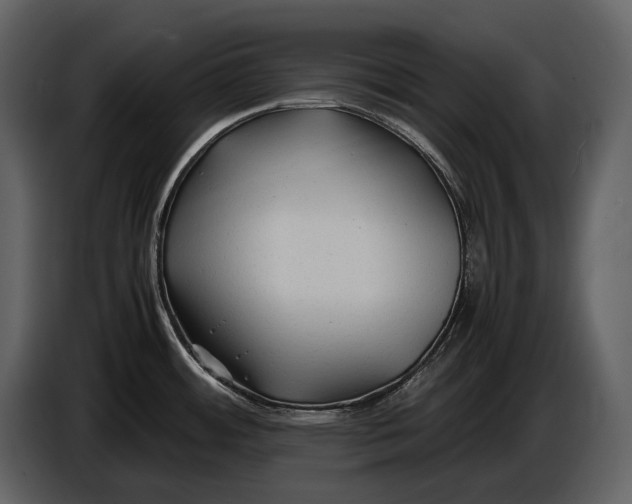 X0000086961484200705071326