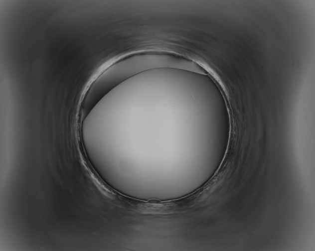 X0000086961485200705071326