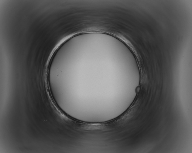 X0000086961486200705071326
