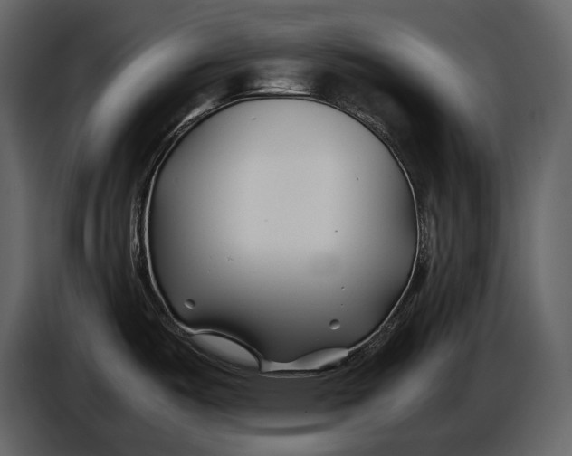 X0000086961487200705071326
