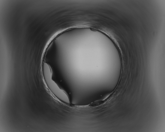 X0000086961488200705071326