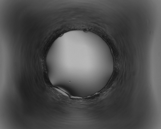 X0000086961490200705071325