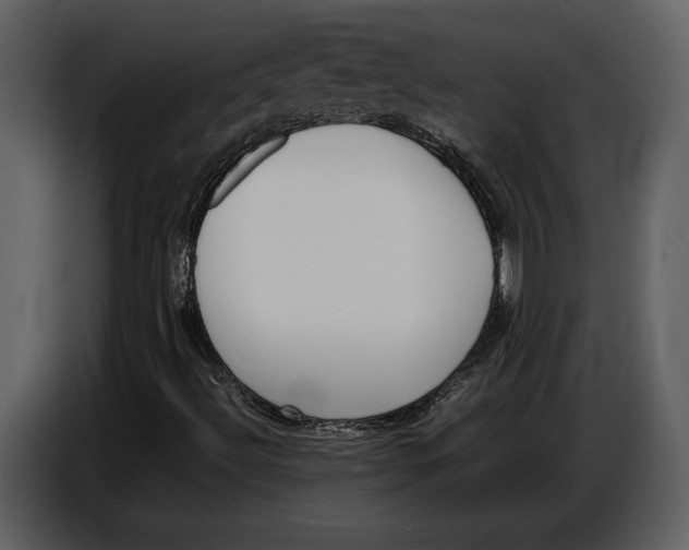 X0000086961492200705071325