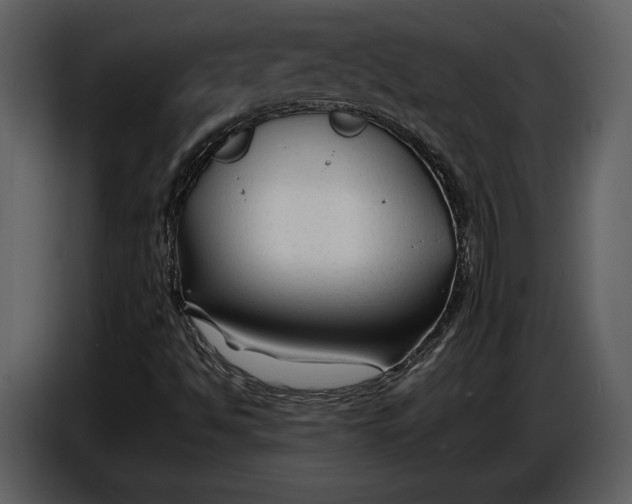 X0000086961494200705071325