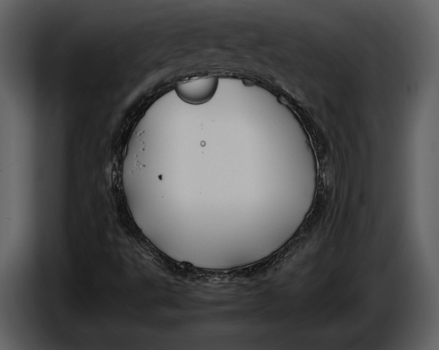 X0000086961495200705071325