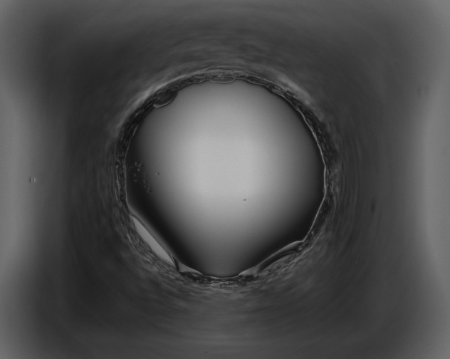 X0000086961496200705071325