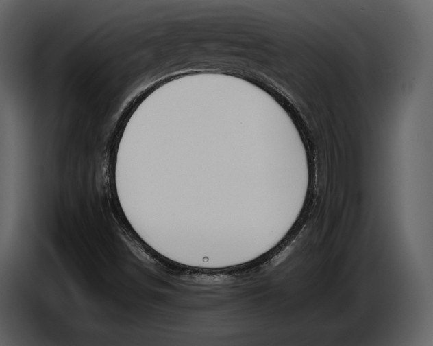 X0000086961498200705071325