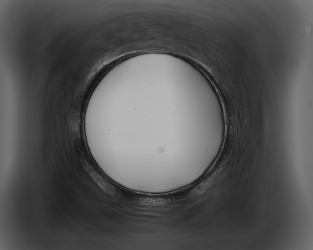 X0000086961499200705071325
