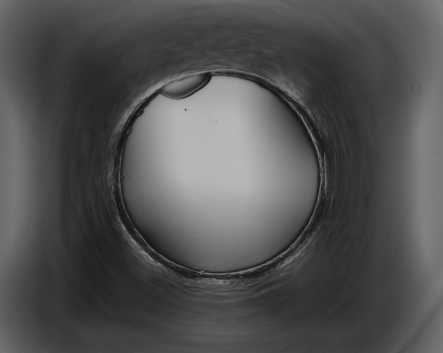 X0000086961500200705071325
