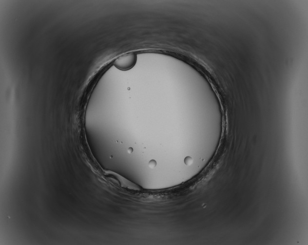 X0000086961501200705071325