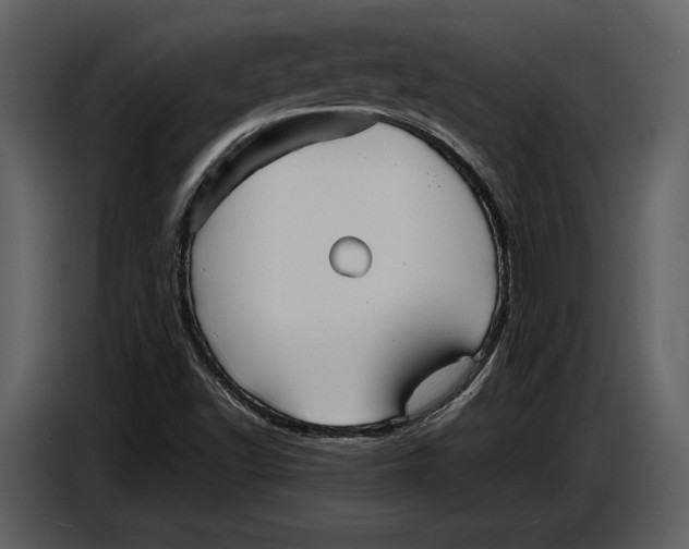 X0000086961502200705071325