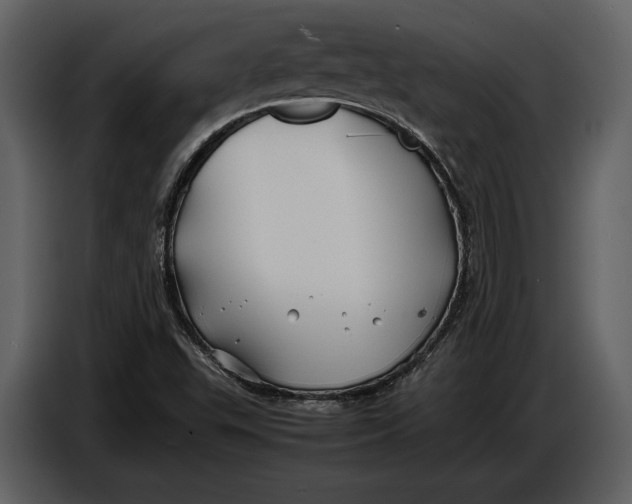 X0000086961503200705071325