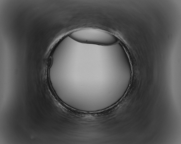 X0000086961504200705071325