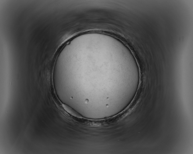 X0000086961505200705071325